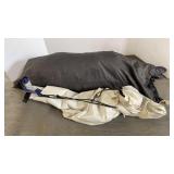 Two-Person Tent with Rain Hood