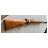 Sears, Roebuck .22 Rifle