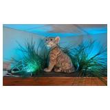 Porcelain Tiger Grass & colored Lighting