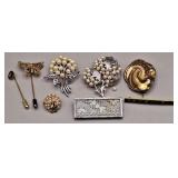 Brooches and Stick Pins