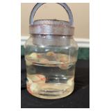 Eyeballs in Water/ Moving Brain