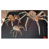 Family of Spiders