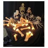 Skeletal Animals, Bugs and Man. Bone Lights