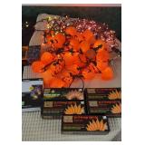 Pumpkin Lights and New Lights