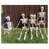 Yard Halloween Skeletons