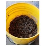 Bucket of Fence Staples