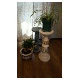 Plants and plant stands