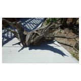 Large piece of driftwood.