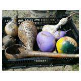 Gourds