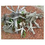 Several Driftwood pieces