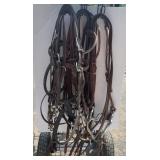 Lot of bridle sets w/ bits and reins.