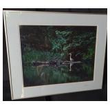 Signed Mahan Photography Great Blue Heron