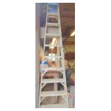 10 ft Werner ladder