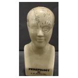 (AO) Phrenology Bust approx 6"