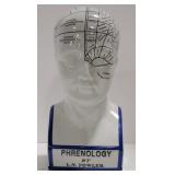 (AB) Contemporary Ceramic Phrenology Bust.