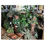 Large lot of artificial plants