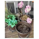 Three Suncast plastic plant pots with rolling
