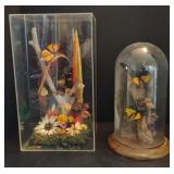 Butterfly Terrariums approx 12" & 14"