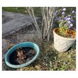 Two outdoor pots, white 19" dia x 16" H, green