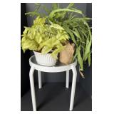 Small side table and Plants (Table measures