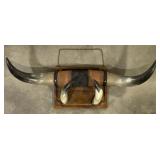 (AM) Mounted Steer Horn Set 30x10 in