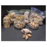 (P) Lot of various different sea shells, snail