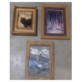 (AM) Framed Photographs, including an Eagle