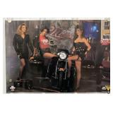 Harley-Davidson Miller Beer PosterMeasures
