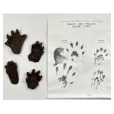 Vintage 1970 NASCO Nature Study Otter Replica