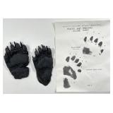 Vintage 1970 NASCO Nature Study Black Bear