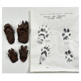 Vintage 1970 NASCO Nature Study Badger & Coyote