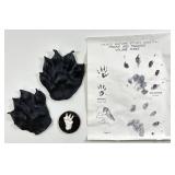 Vintage 1970 NASCO Nature Study Wolverine &