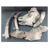 (N) Nina De Creeft 5 Piece Clay Wall Mount Cow