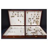 (Q) Entomology Bug Box Butter Flys And Extra