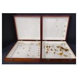 (Q) Entomology Bug Box Butter Flys 14" x 14" x 3"