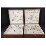 (Q) Entomology Bug Box Butter Flys And Moths 14"