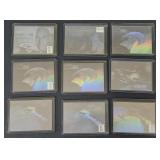 (II) Star Trek Hologram Trading Cards Includes