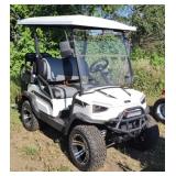 (FF) 2023 Tao Motor Champ Golf Cart