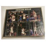(E) Chicago bulls 16x20 framed poster
