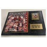(E) Chicago bulls NBA championship plaque 12x15
