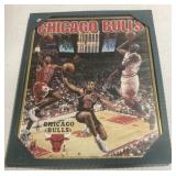 (E) Chicago bulls 17x21 framed poster