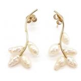 (AB) 14K Yellow Gold Pearl Earrings