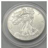 (KK)  2013 Silver Eagle 1 oz Dollar Coin