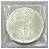 (JJ) Silver 2013 American Eagle Dollar 1 oz