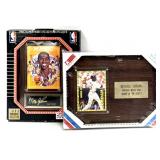 Michael Jordan Chicago White Sox Card Plaque &