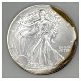 (GF) Silver 1 Ounce 1991 Walking Liberty Dollar