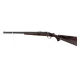 Savage Arms Co. Model 22-410 .22 LR / .410 Ga Comb