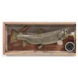 21in Speckled Trout Full Body Taxidermy Fishing Di
