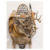 Hunters Pack Whitetail Deer Snow Show Taxidermy Di