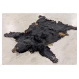 Black Bear Hide Taxidermy